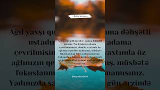 #robinsharma #audiobook #audiokitab #quotes #səslikitab #bibliophile #booklover #books #dalecarnegie