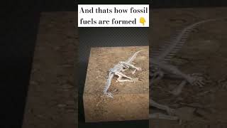 How are fossil fuels formed??? #fossilfuel #notes