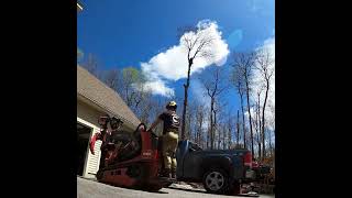 Double stem poplar had to go. Rig half, drop half. #arblife #treelife #arborist #treework