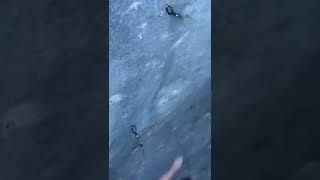 Oddly Satisfying Video #shorts #viral #youtubeshorts #satisfying #oddlysatisfying #asmr