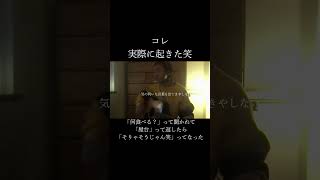 起きたんよな #backnumber   #わたがし #shorts