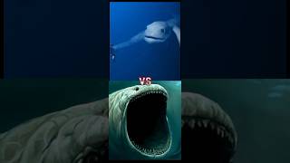 JURASSIC PARK SPINOSAURUS VS THE BLOOP,BLUE WHALE,HUMPBACK WHALE,GREAT WHITE SHARK,NINGEN