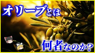 【ゆっくり解説】樹齢3000年の木が実在!?「オリーブ」とは何者なのか？を解説/オリーブオイルの90%は偽物！？オリーブアナアキゾウムシの不思議