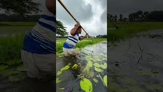 Amazing Fishing Methods. #fishing #viralfishing #bdfish #viralvideoシ