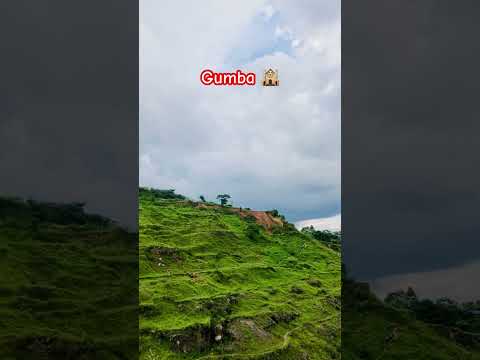 Gumba maa hawa aarara #hawasarara #song #youtubeshorts #reverb #romantic
