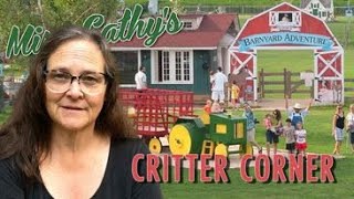 Miss Cathy's Critter Corner - Harbes Barnyard Adventure