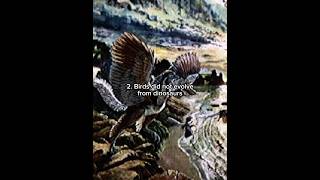 Prehistoric myths that eveyrone thinks is true #prehistoric #dinosaur