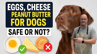Can Dogs Eat Peanut Butter, Cheese & Eggs? Safe or Not