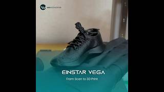 Einstar Vega | From Scan to 3D Print