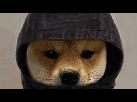 This was recorded 2 weeks ago