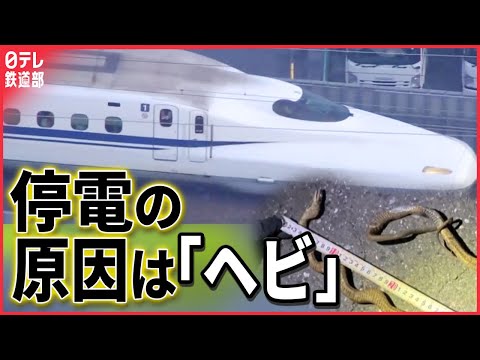 【停電の原因は「ヘビ」】東海道新幹線一時“運転見合わせ” GWを直撃 再開後もダイヤ乱れ〔日テレ鉄道部〕