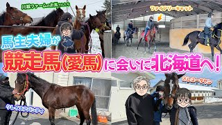 We bring you all the charms of the horses we met in Hokkaido!