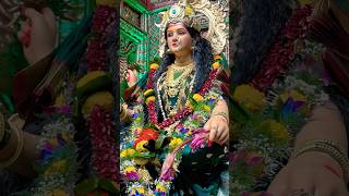 Chinchpokali chi Aaibhavani 🙏 #chinchpokli #aaibhavani #navratri #devi #incredibleindia