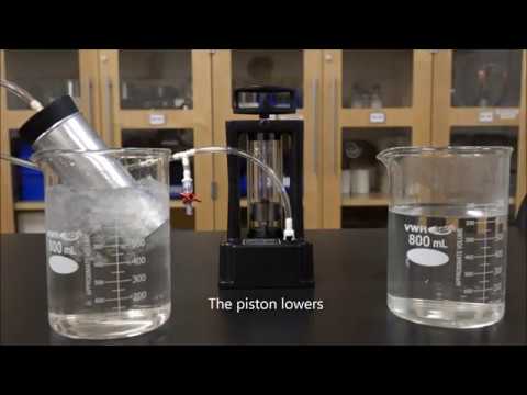 The First Law of Thermodynamics