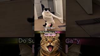 cat dancing 😁 #funnycat #shorts #meme