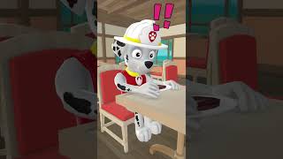 CHASE's story and the most surprising ending ❤️ #pawpatrol #chase #shorts  #skye #marshall