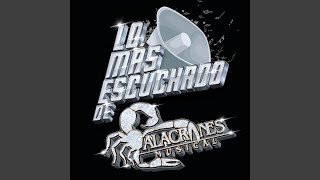 Al Ritmo De La Lluvia