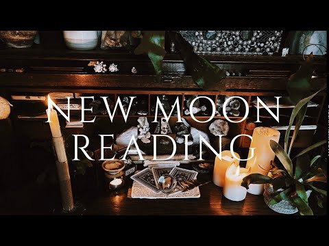 New Moon In Taurus Reading  Daily Tarot Oracle Readings 💫 432HZ Healing Meditation 29th April 2025