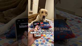 Mummy ka Ladla❤️ #dailyvlog #ytshorts #labrador #minivlog #pets