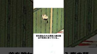 不気味に笑う蘇我入鹿の首…乙巳の変の雑学 #歴史 #日本史 #雑学 #大化の改新