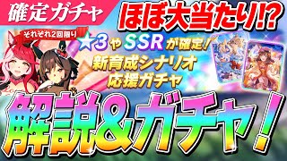 [Uma Musume] Almost everything is a big hit! "New Development Scenario Support Gacha" Winning Slo...