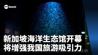 新加坡海洋生态馆开幕 将增强我国旅游吸引力