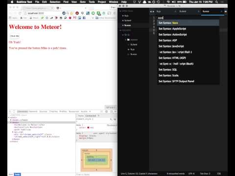 Developing in Meteor.js by Eran Schoellhorn