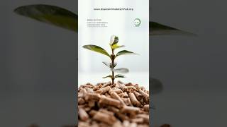 Biomassa: Energi Terbarukan dari Limbah Hayati | Makassar 12-14 Agustus 2025