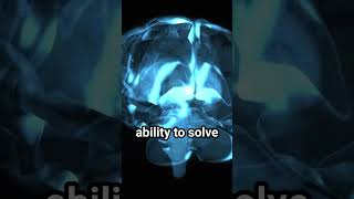 Fluid Intelligence