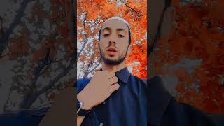 egzonibraheemi #viral #vedio#reelvoice