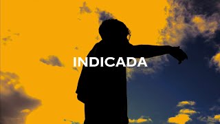 SDR - Indicada (Visualizer)