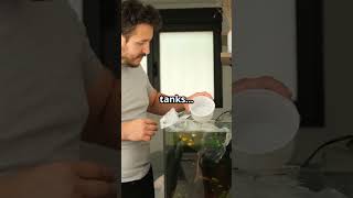 #DIYWorkshop #TerrariumBuilding #Aquascaping #RootsAndRivers #CreativeSpace #HomeProjects