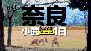 比京都清靜多了！秘境纜車＋老鹿小鹿＋在地釜飯美食、探索傳統街道！#奈良 [老張微旅行]