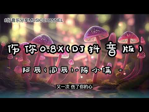 阿辰(阎辰)-陈小满 - 伤你 0.8X (DJ抖音版)【動態歌詞 Lyrics】