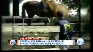 Hoffa's disappearance has sparked searches and theories