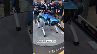 和碩首次在 COMPUTEX 獨立展位亮相！展出機器狗狗，超可愛！