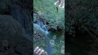 2022新北平溪望古瀑布-超夯網美美拍必選原始瀑布步道 EP1 #shorts