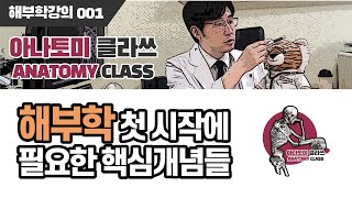 [해부학] 해부학의 기초 Essential concepts of Anatomy 아나토미 클라쓰 001