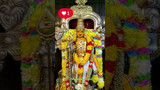 #murugan #muruganstatus #lordmurugan #tamilgods #tamilculture #devotional #spiritual #murugandevotee