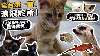 全台第一間浪浪診所!浪浪也可以獲得醫療!1300隻狗貓、特寵(狐獴、貂、蜜袋鼯)領養!領養送萬金大禮包!【許伯簡芝】