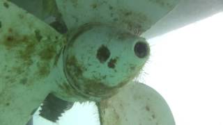 Antifouling 11 month review, Coppercoat and Velox Plus