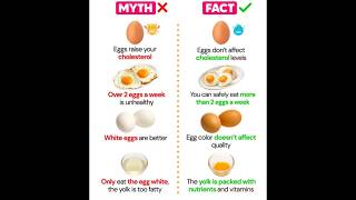 myths and facts about eggs 🥚 #health #ytshorts #shorts #fitempire #eggs #healthydiet #myths #facts