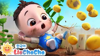 감자 한 개~ 감자 두 개!🥔 | One potato Two potatoes | 숫자송 | 인기동요 | 리아차차 LiaChaCha