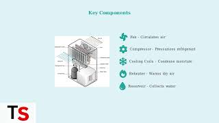 How A Dehumidifier Collects Water – Condensation Process Explained (2025 Guide)