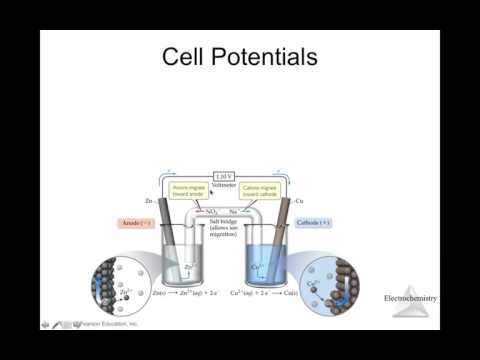Module 20 - 2 of 2