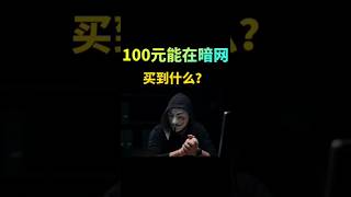 100元能在暗网买到什么？#黑客 #黑客技术 #网络安全 #计算机 #暗网 #冷知识 #互联网