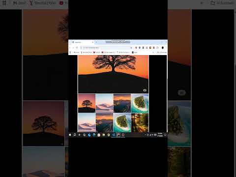 Building a Image Gallery In Html Css And Javascript - Frontend Project