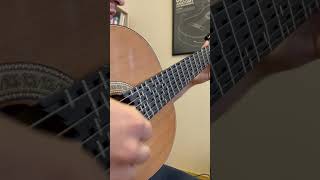 6 Nylon Strings on Microtonal Guitar- Eşeği Saldım Çayıra