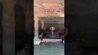 ஓம் நமச்சிவாயா🙏#god #shiv #magadev#lordganesha #loardshiva #murugan#tamilgod #omletarcade #om#ometv