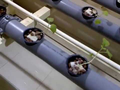 Hydroponics Garden Creative Hydroponics